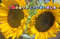 宮崎ちゃんこ都城店 ふみか また！褒め過ぎ☆口コミ