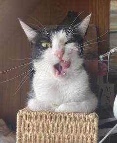 こんにちは🌞
