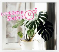 静かな日曜の夜〜