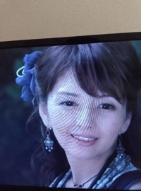 綺麗可愛い