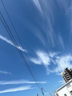 今日、お昼の、お礼です。