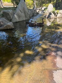 待ちナビ　ゆうみ