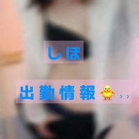 しほの出勤情報