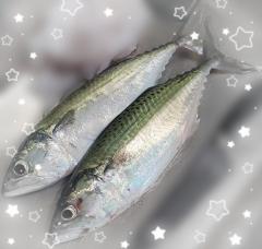  天然記念物❤きほ