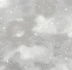 本当にすみません
