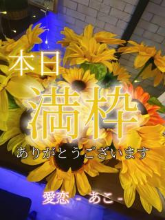 cherish　