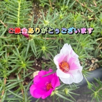 戻りました^ ^
