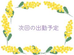  りん業界未経験！美貌の淫女♡