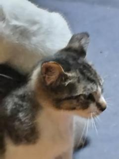 こんにちは👋😃