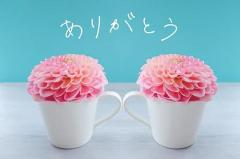 午後ッ?