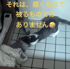 昭和（沖縄・完全個室プライベートエステ）　
