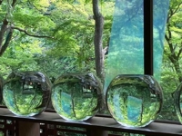 9日のお礼です