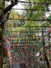 待ちナビ(福岡市) のりこ