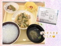 まりんごはん退院決まりました