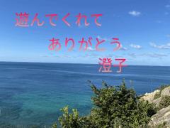 8日のお礼です