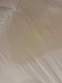 これなーんだ