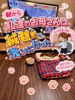 来夢来人大分店　菜々(なな)美優店