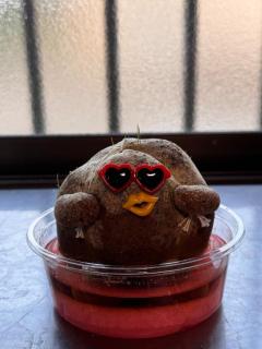 明日も