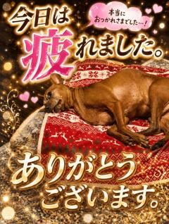来夢来人大分店(デリヘル) 菜々(なな)美優店