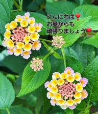 ι(´Д｀υ)ｱﾂｨｰ