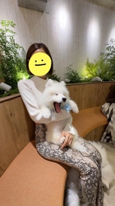 締まり100