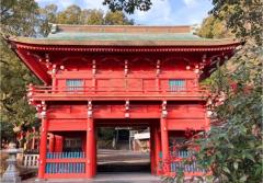 今山八幡宮行ってみた☺️