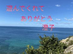 JaPON(大分市) 澄子ｽﾐｺ良い値！コース