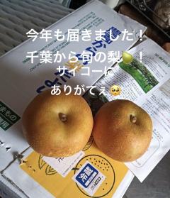 大好きな果物🍐･:*+.\((°ω°))/.:+