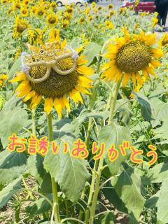 14日のお礼です！ありがとう！