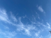 朝帰り笑