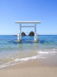 今日は