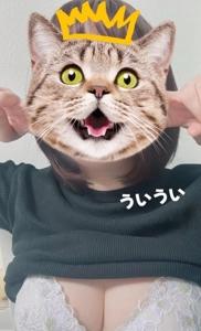ギャンブルと無縁