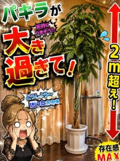 来夢来人大分店　菜々(なな)美優店
