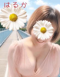 エンタメGR　はるか
