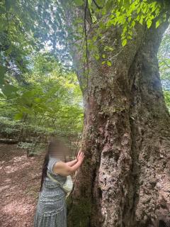 自律神経が整いました