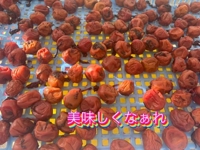 念願！