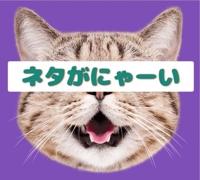 にゃーんか