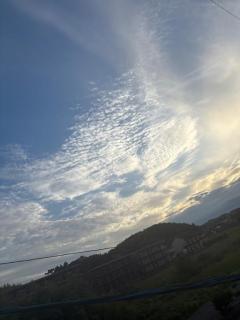 おはようございます。