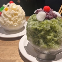 今日はお出かけ