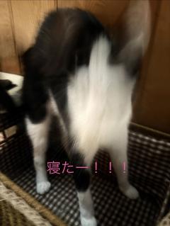 昭和（沖縄・完全個室プライベートエステ）　与那嶺綾子