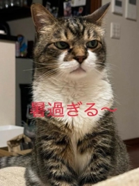 満載