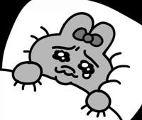沖縄本舗　ゆん