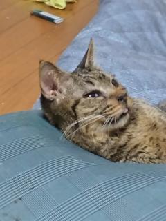  まり