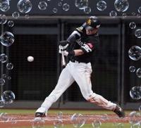 プロ野球、結果