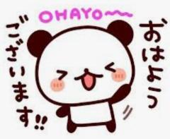 お昼出勤です♪