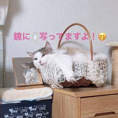 昭和（沖縄・完全個室プライベートエステ）　与那嶺綾子