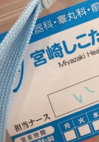宮崎しこたまクリニック　いずみ