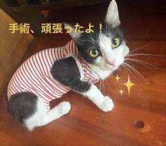 昭和（沖縄・完全個室プライベートエステ）　与那嶺綾子