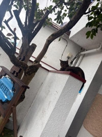 お礼日記