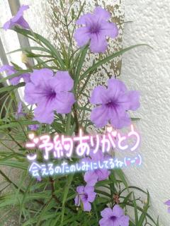 嬉しいです